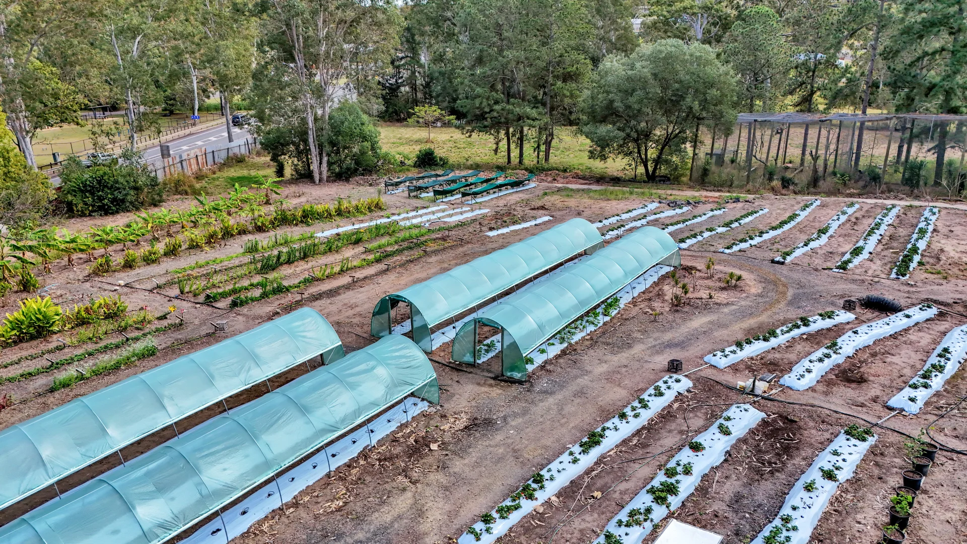 Additional image 19 of 322 Old Creek Road, Apple Tree Creek QLD 4660