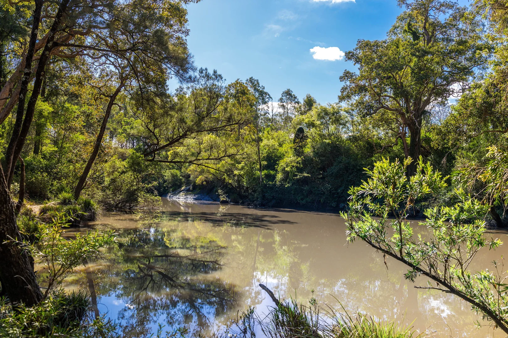 Additional image 8 of 119 Paddys Flat Road, Tabulam NSW 2469