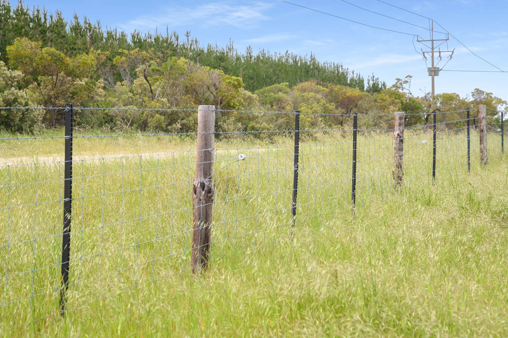 Additional image 35 of 771 Belt Road, Millicent SA 5280