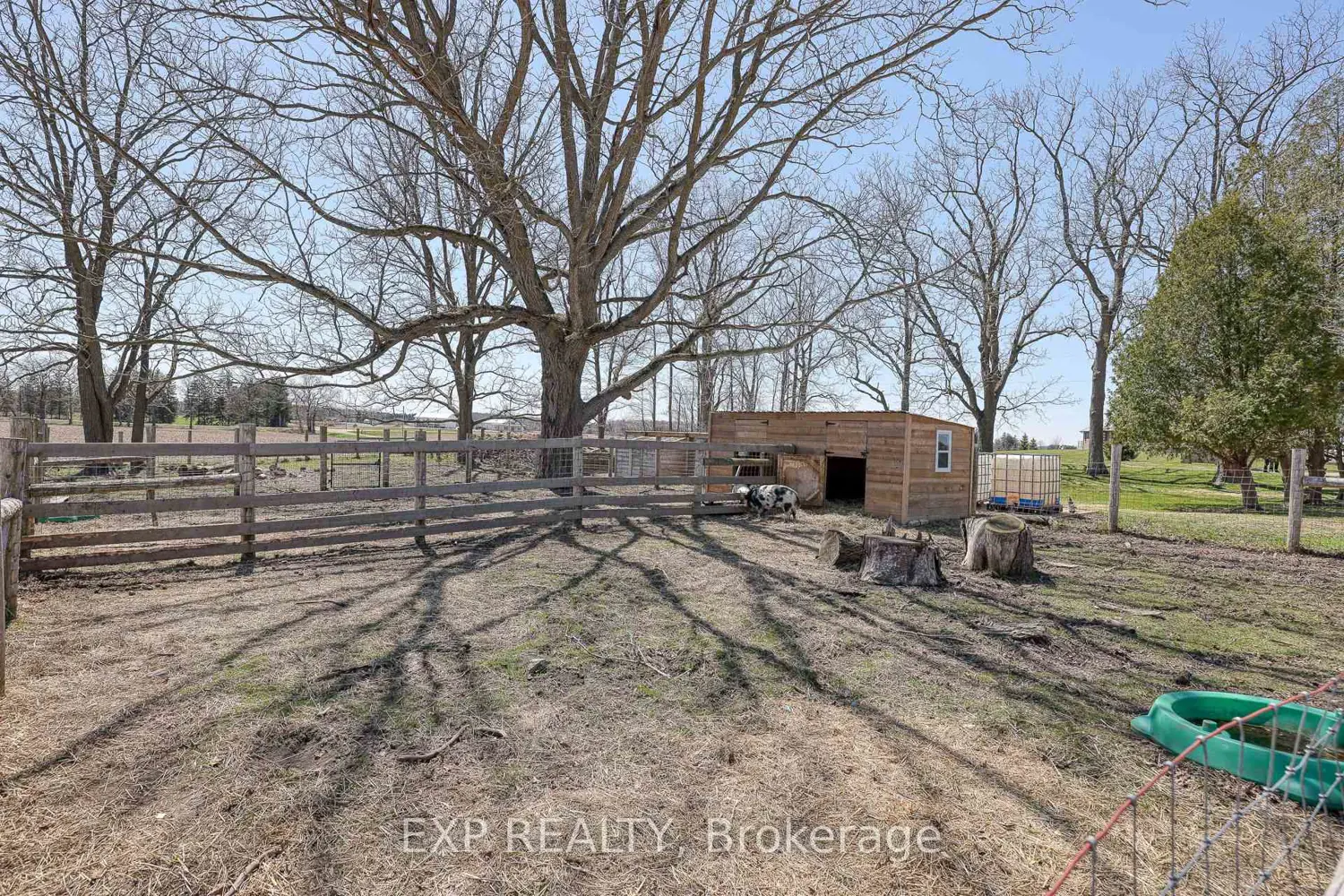 Additional image 5 of 3892 Lewis Road