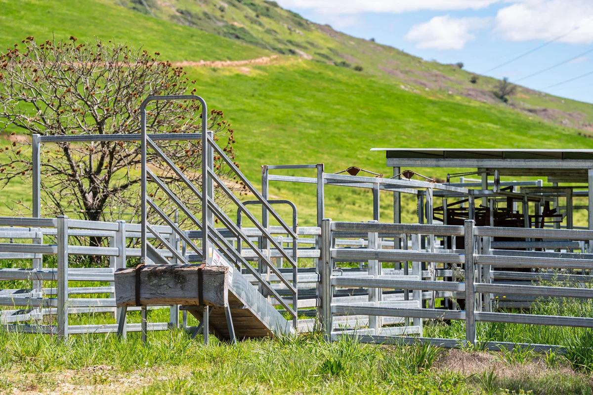 Additional image 12 of 3465 Murray Valley Highway, Berringama VIC 3691