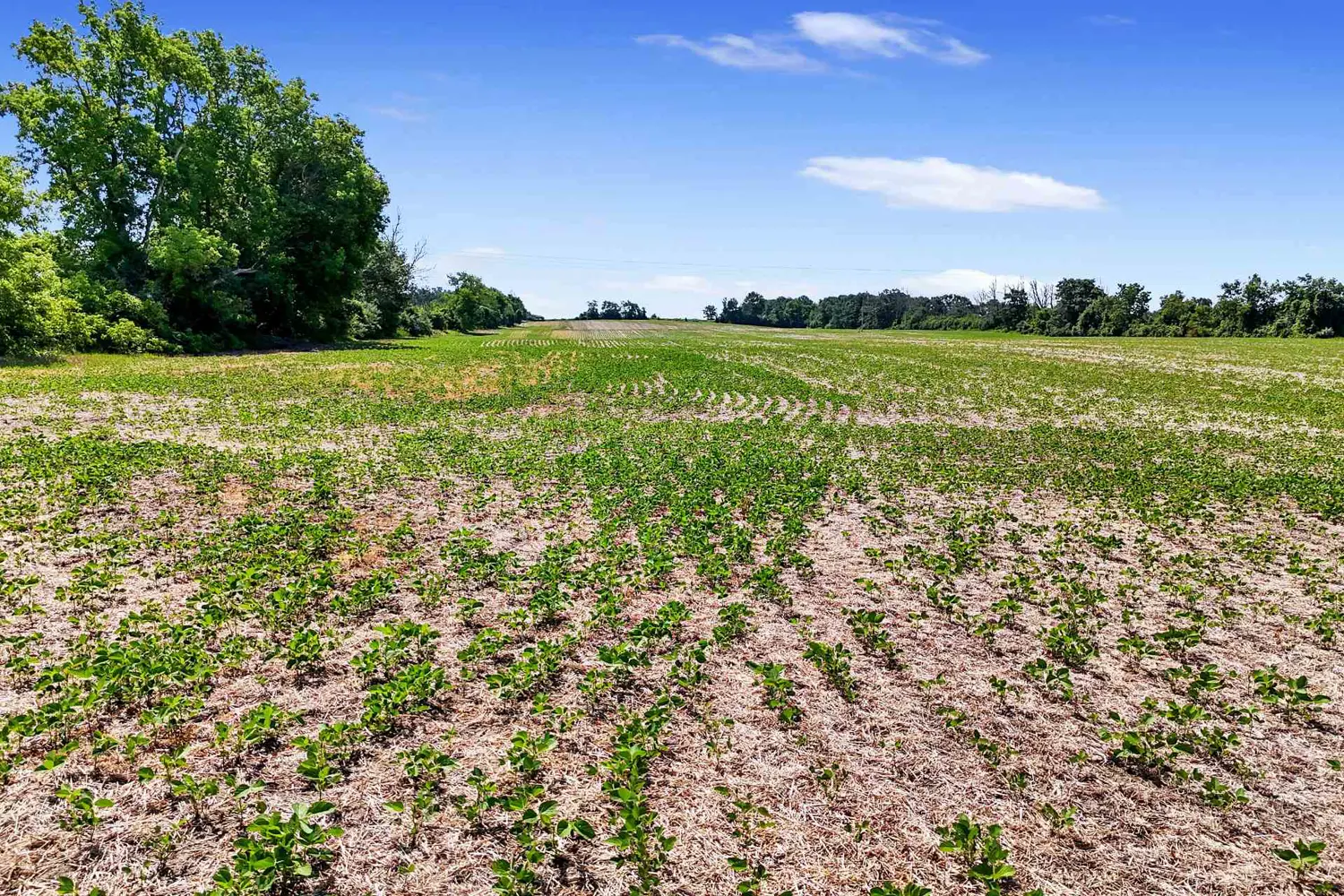 Additional image 12 of 8383 Lander Road