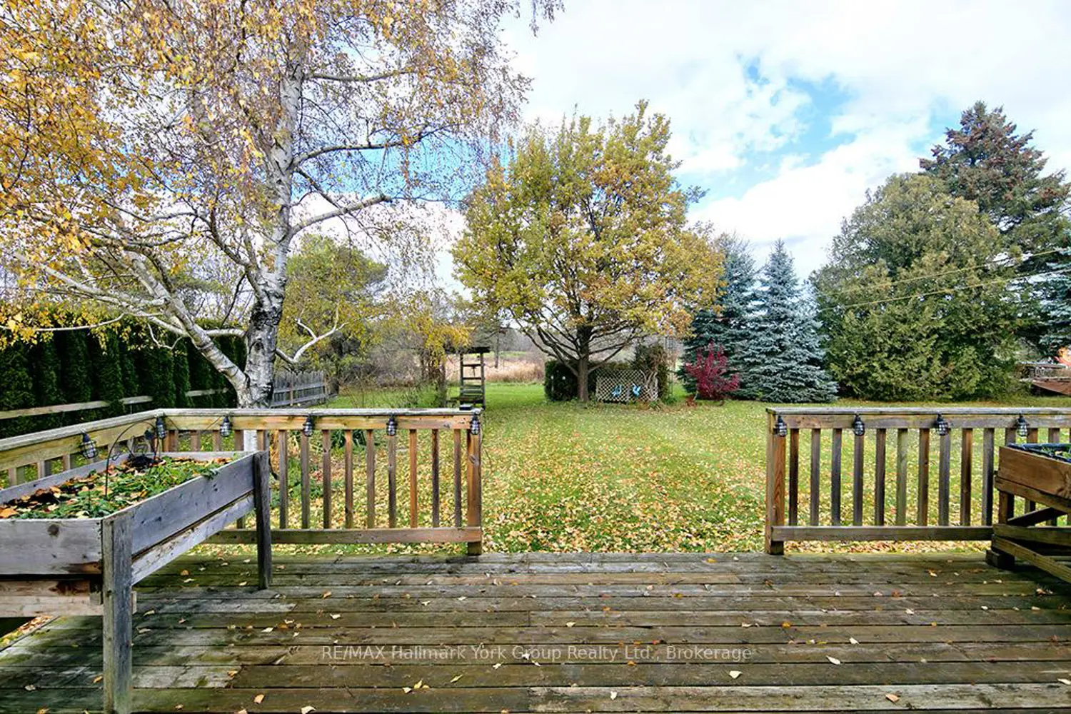 Additional image 16 of 448 Nelson Street