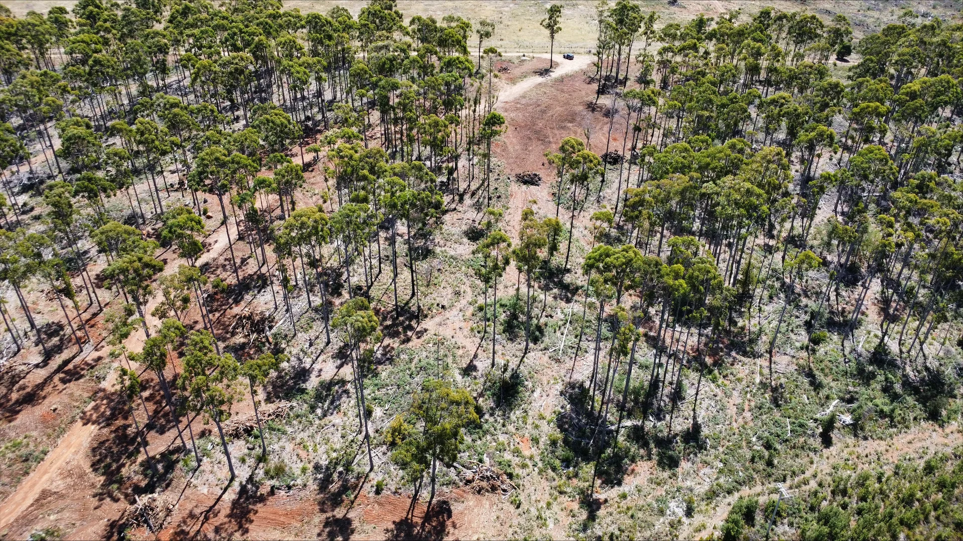 Additional image 12 of 2/275 Smith And Others Road, Sassafras TAS 7307