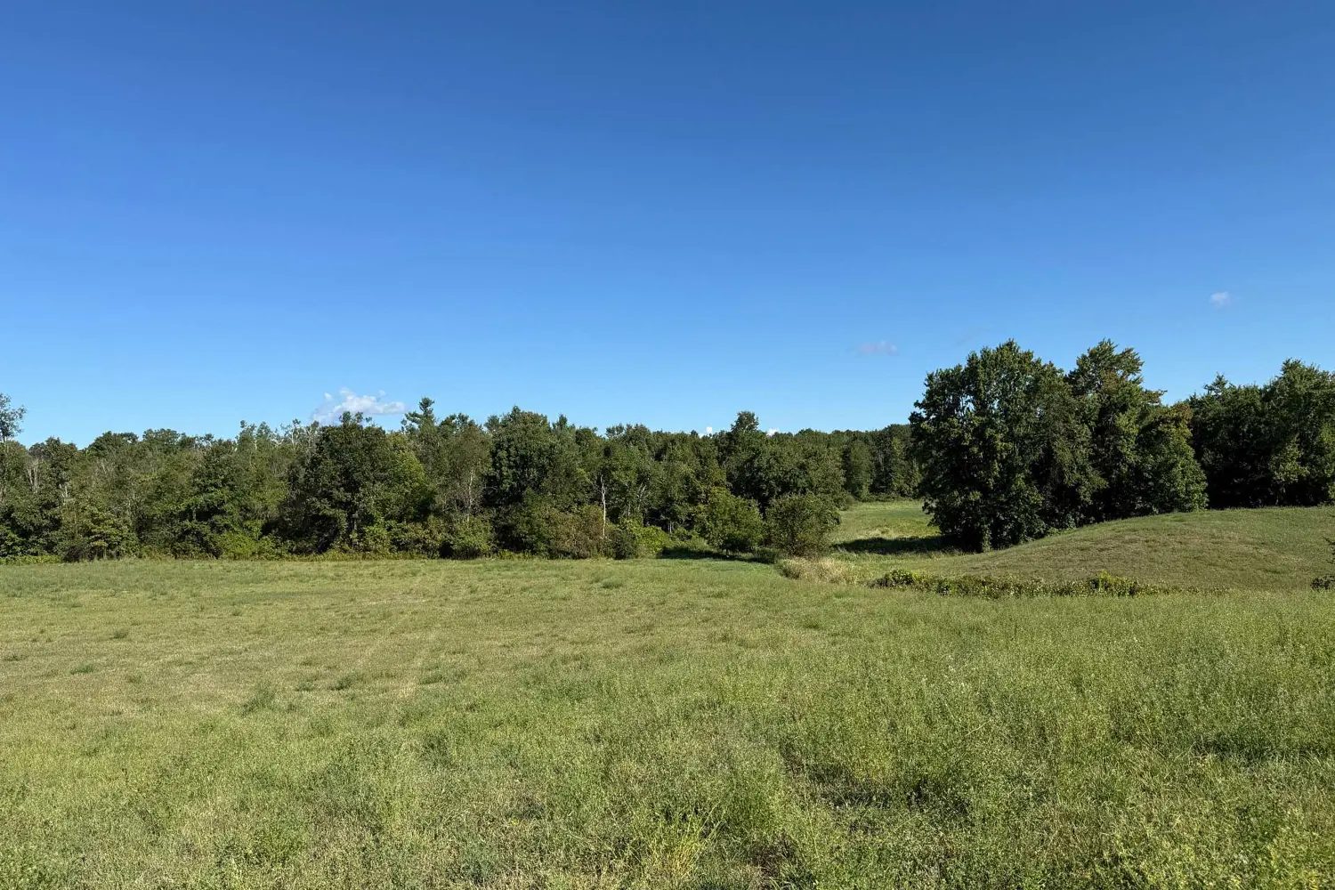 Additional image 8 of 0 Deloro Road