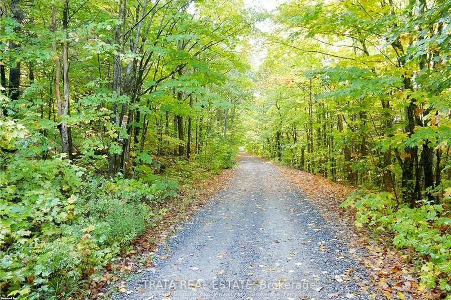 Additional image 13 of 0 518