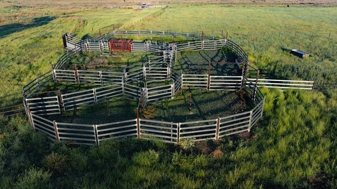 Additional image 15 of Garrambeel, Bingara NSW 2404