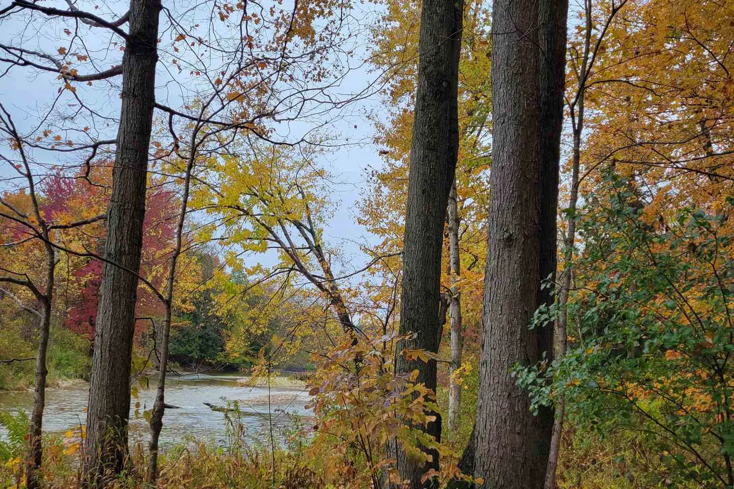 Additional image 5 of Lot 37 Con 2 Ndr