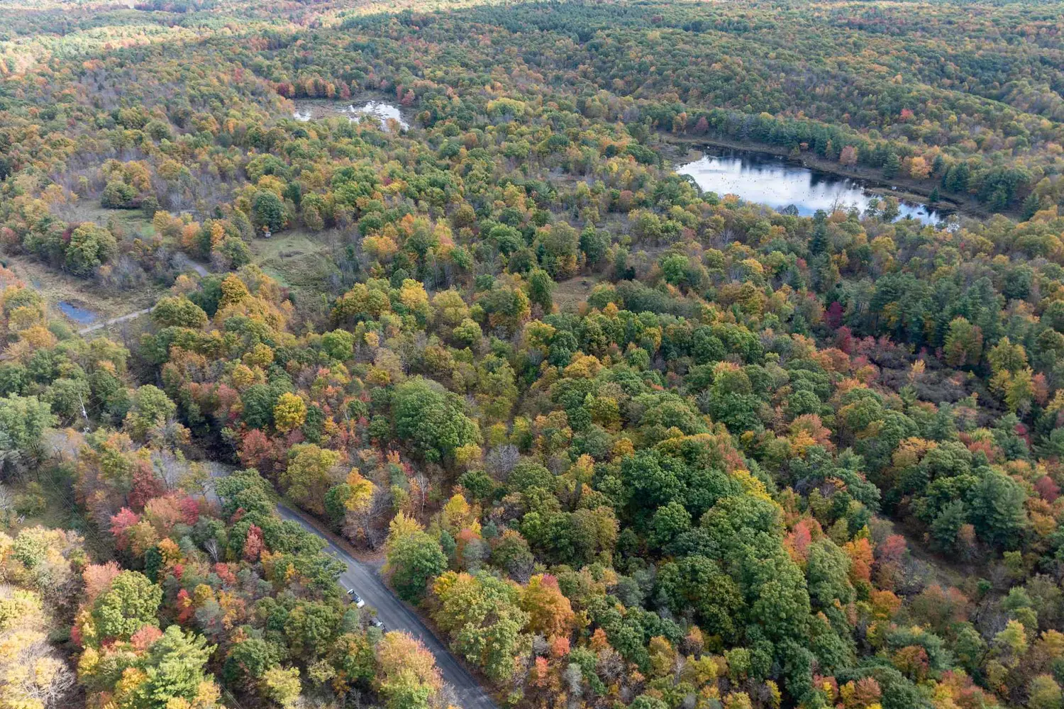 Additional image 14 of Pt Lts 12 & 13 Devil Lake Road