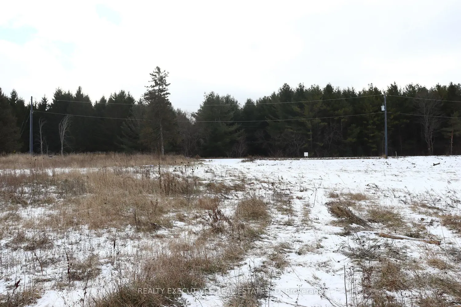 Additional image 9 of 10569 Loughlin Ridge Road