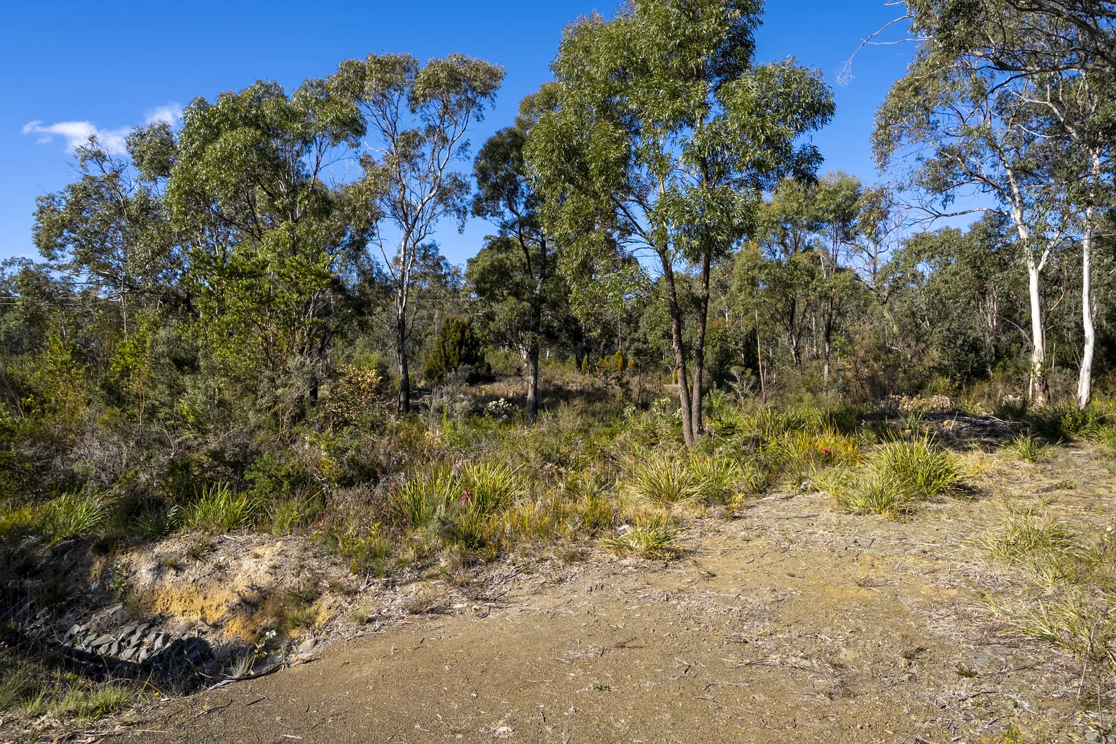 Additional image 15 of 7 Mason Road, Eaglehawk Neck TAS 7179