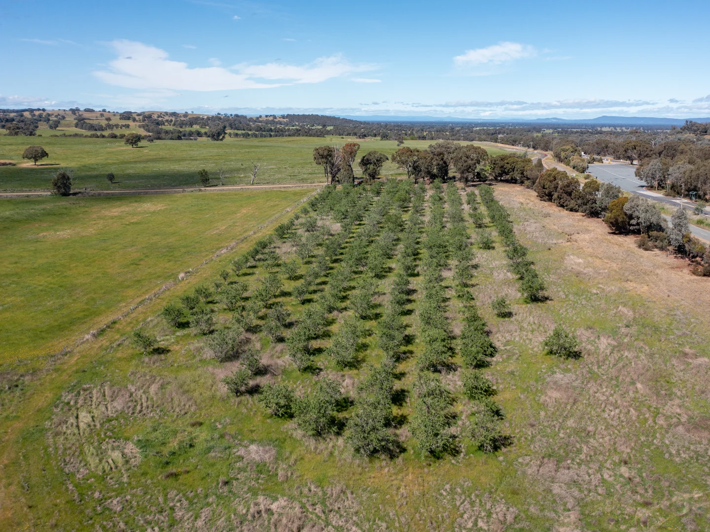 Additional image 11 of 00 Cluggs Road, Springhurst VIC 3682