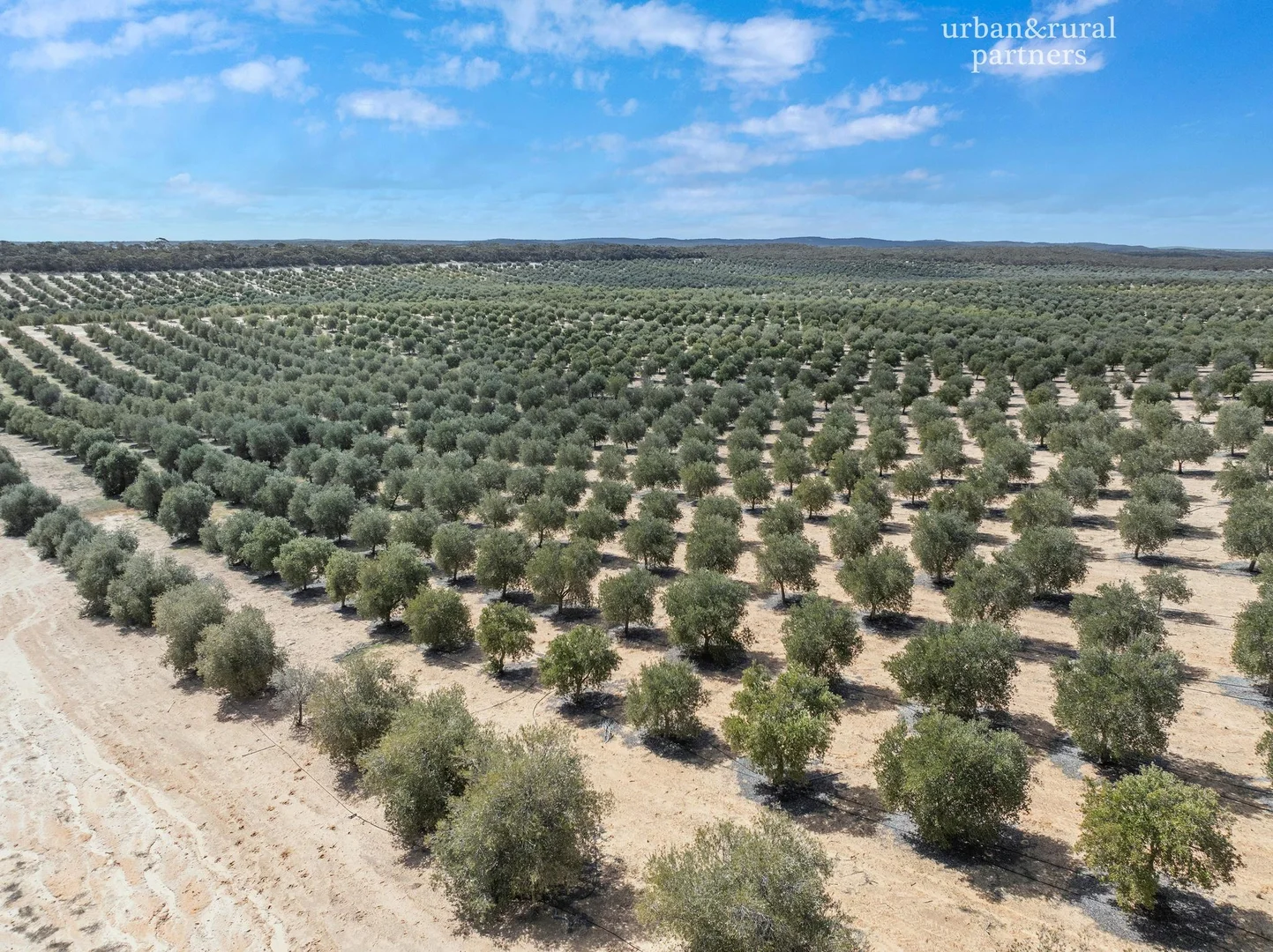 Additional image 5 of 1575 Kringin Road, Karte SA 5304