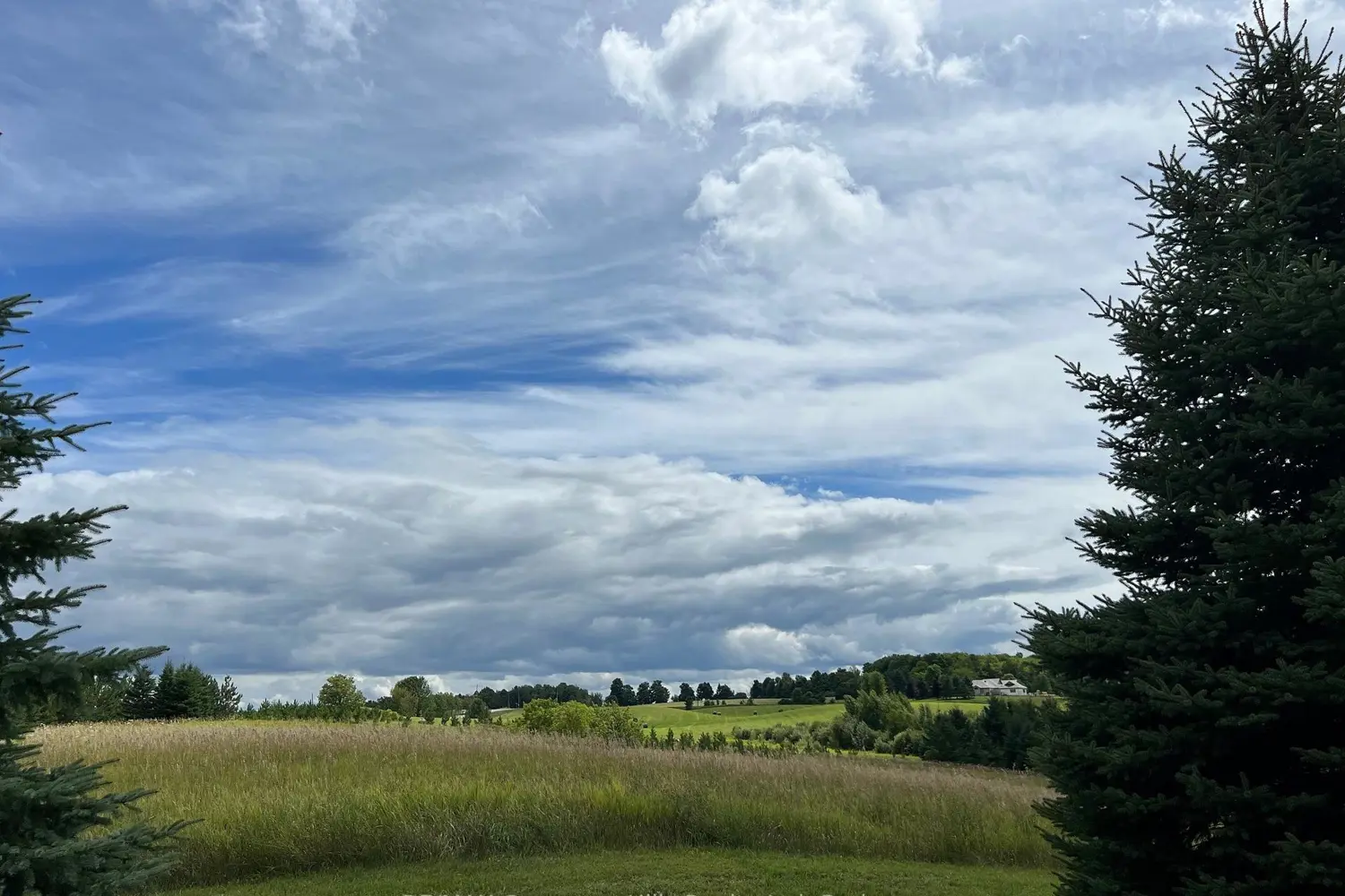 Additional image 7 of 2332 Centre Line