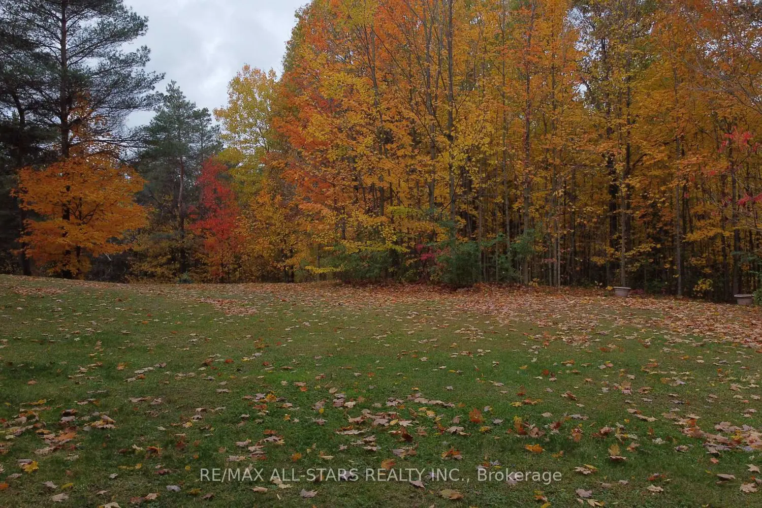 Additional image 10 of 26 Cranborne Chase