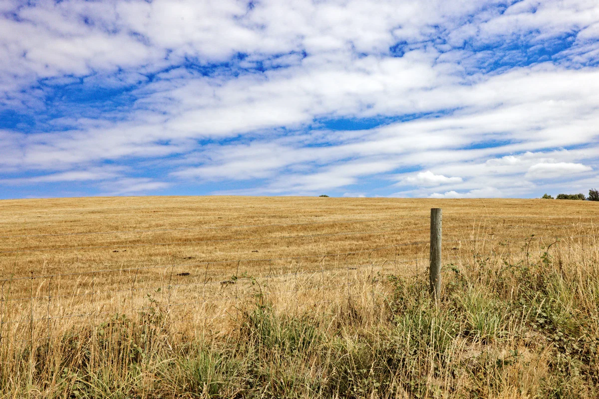 Additional image 7 of 110a Paling Track, Bangor TAS 7267