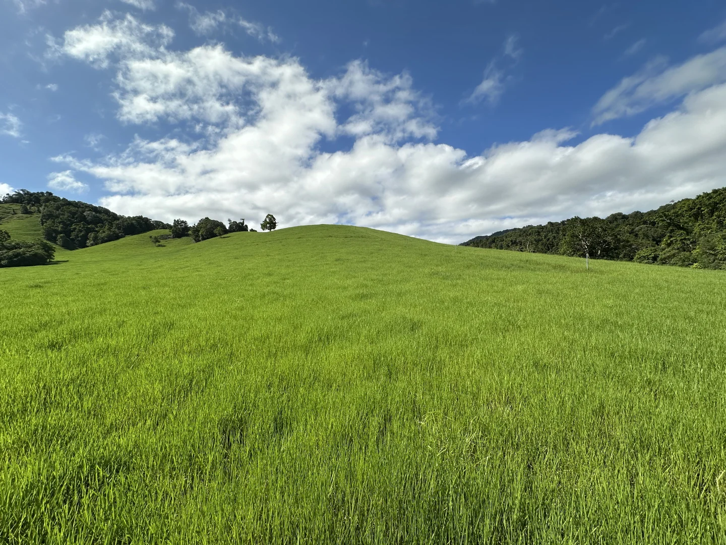 Additional image 25 of Japoonvale QLD 4856