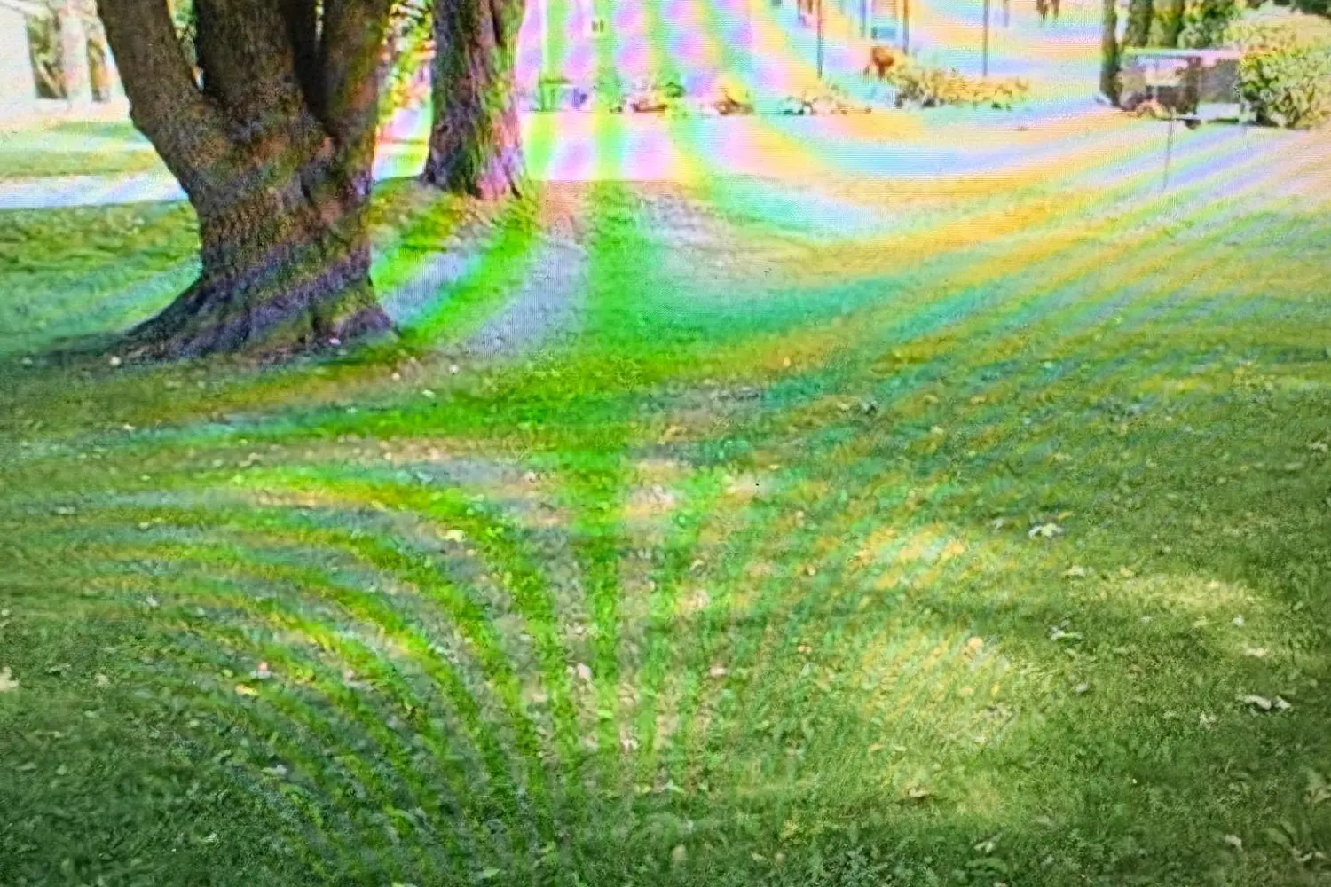 Additional image 2 of 115 Centre Street