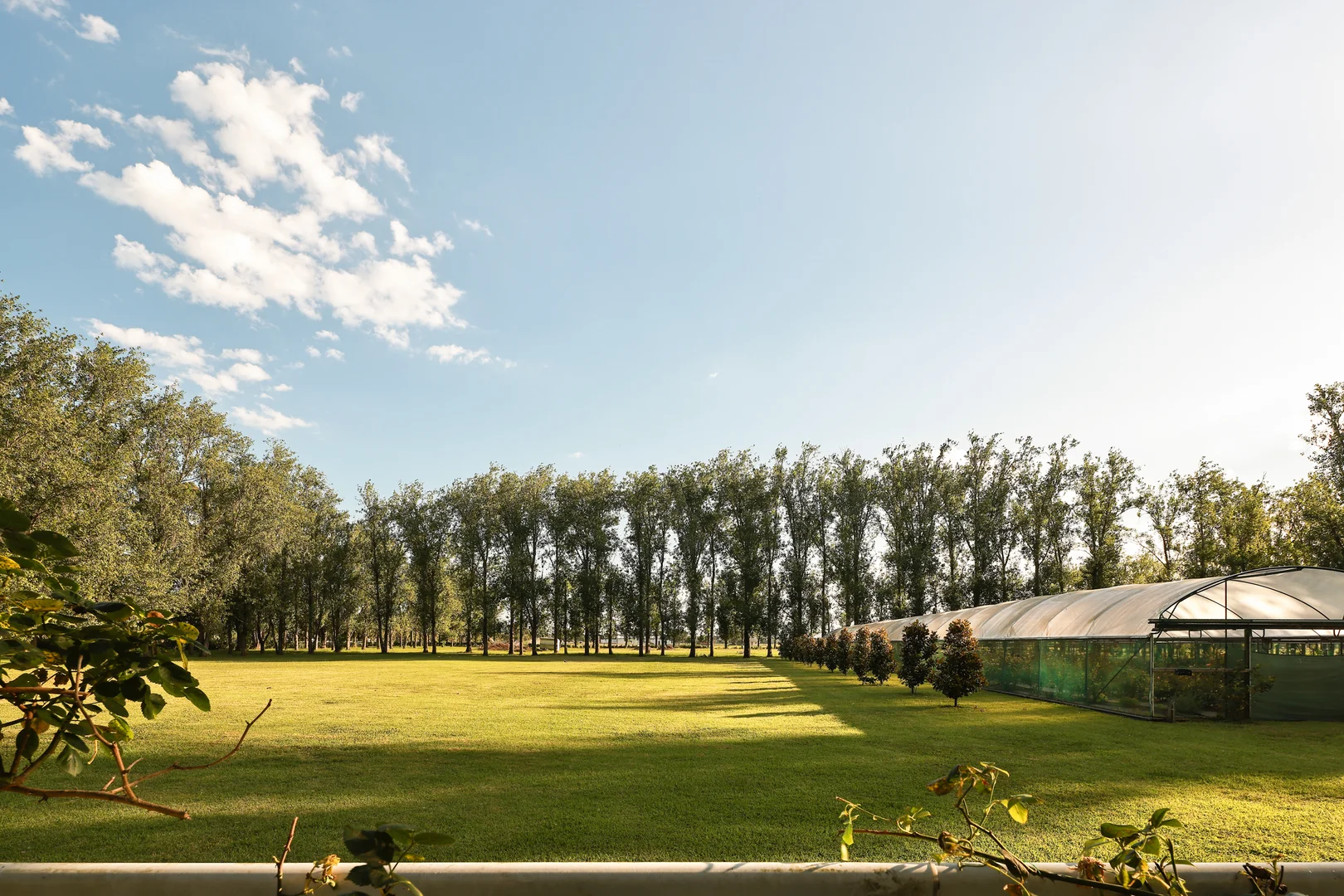 Additional image 18 of 229 Glenarvon Road, Lorn NSW 2320