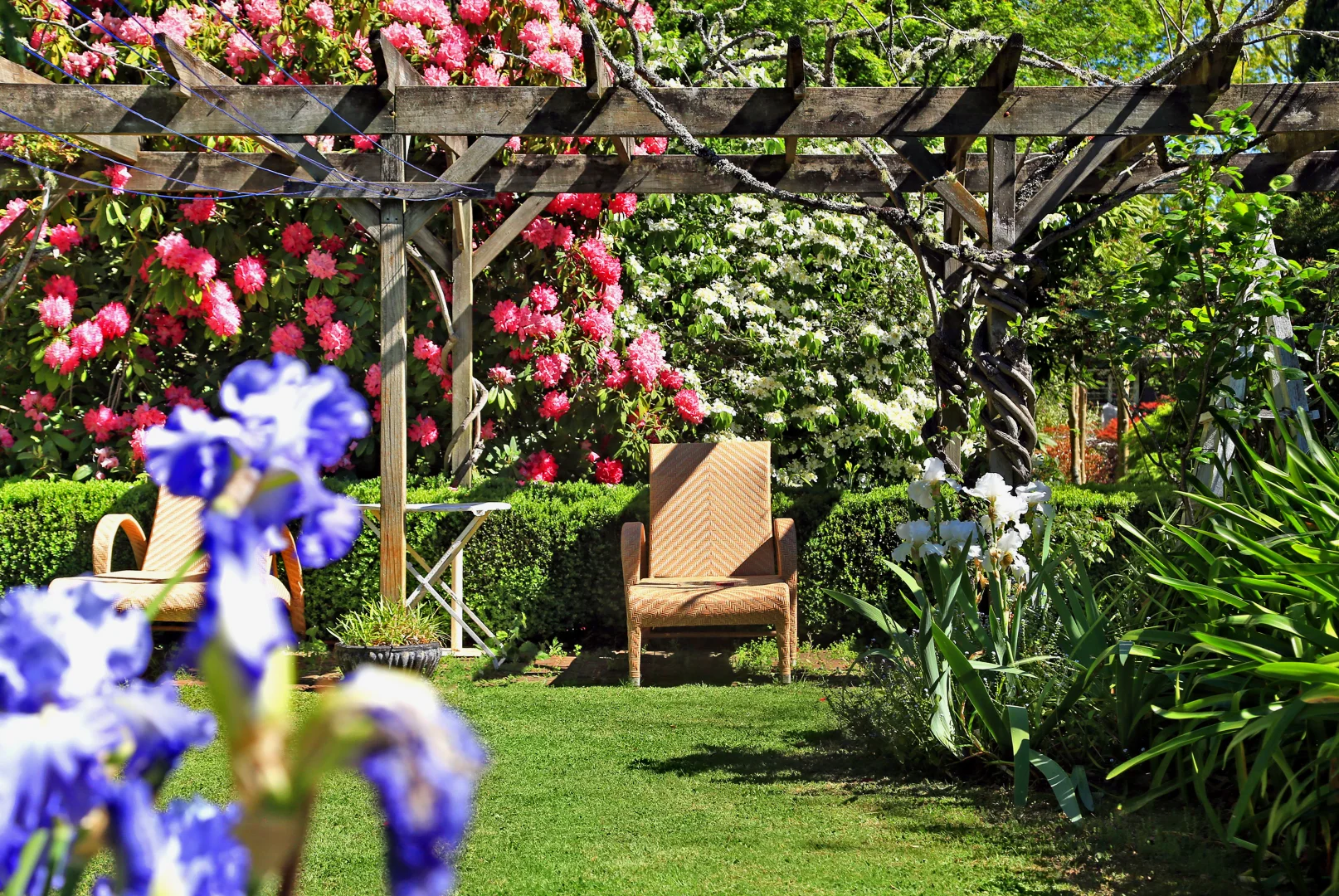 Additional image 4 of 20 Wilsons Lane, Exeter NSW 2579