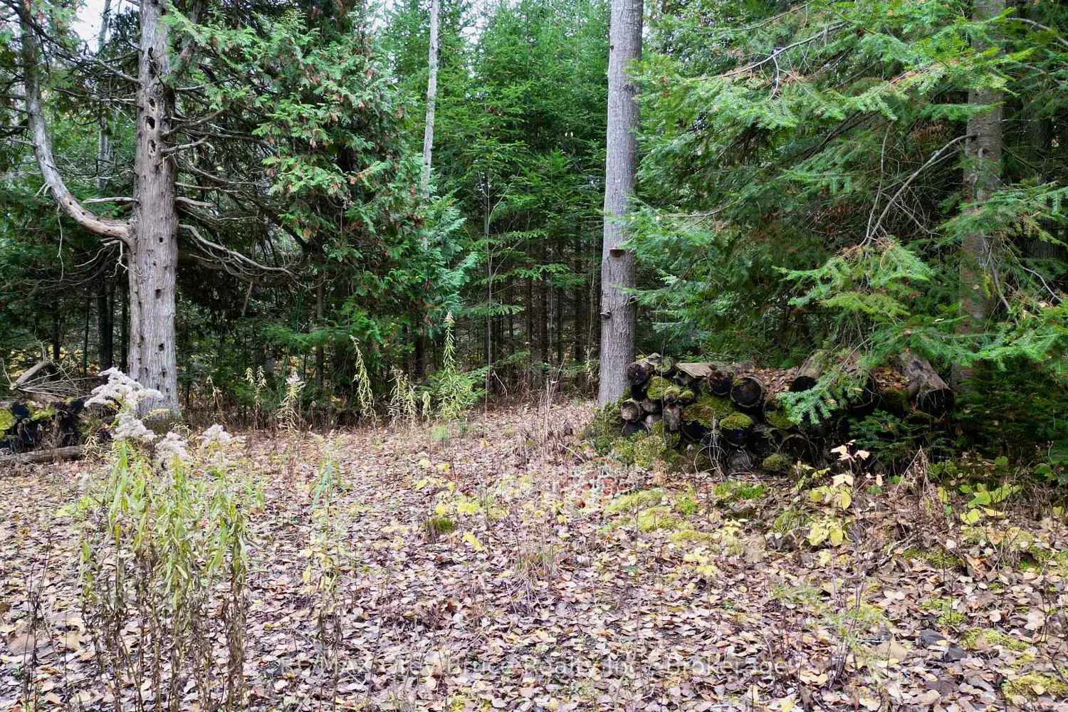 Additional image 4 of 44 Stokes Bay Road