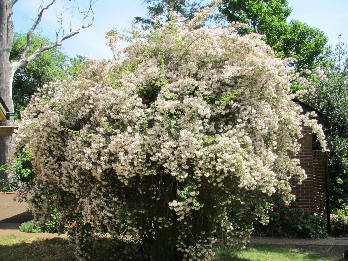 Additional image 21 of 805 Mount Macedon Road, Mount Macedon VIC 3441