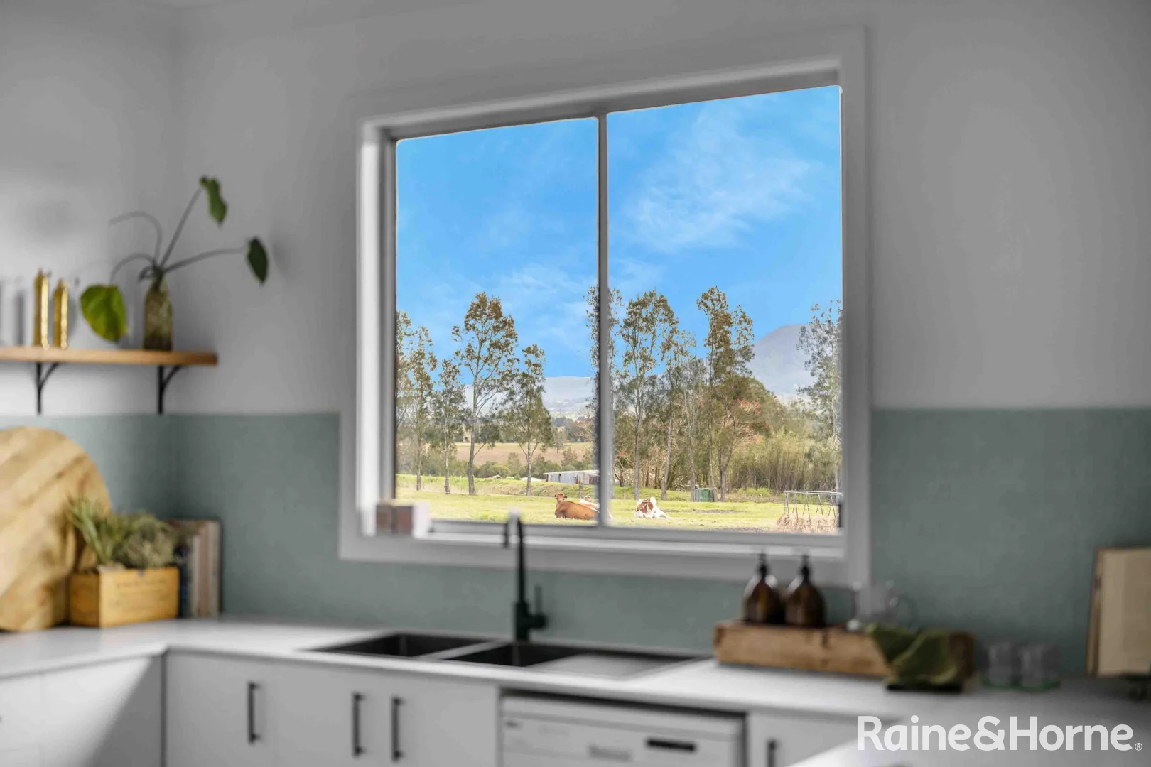 Additional image 5 of 511B Coolangatta Road, Far Meadow NSW 2535