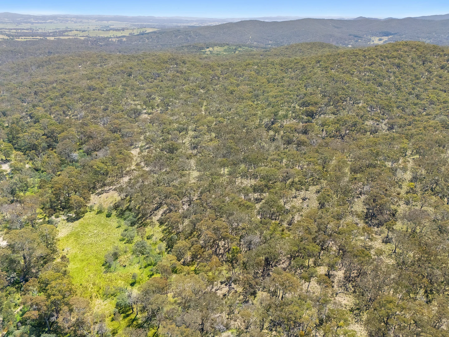 Additional image 18 of 925 Marked Tree Road, Gundaroo NSW 2620