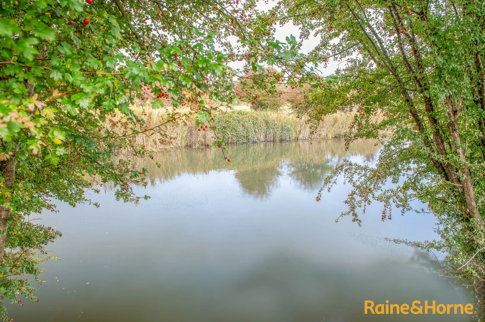 Additional image 3 of 172 Hazelwood Road, Stonehenge NSW 2370