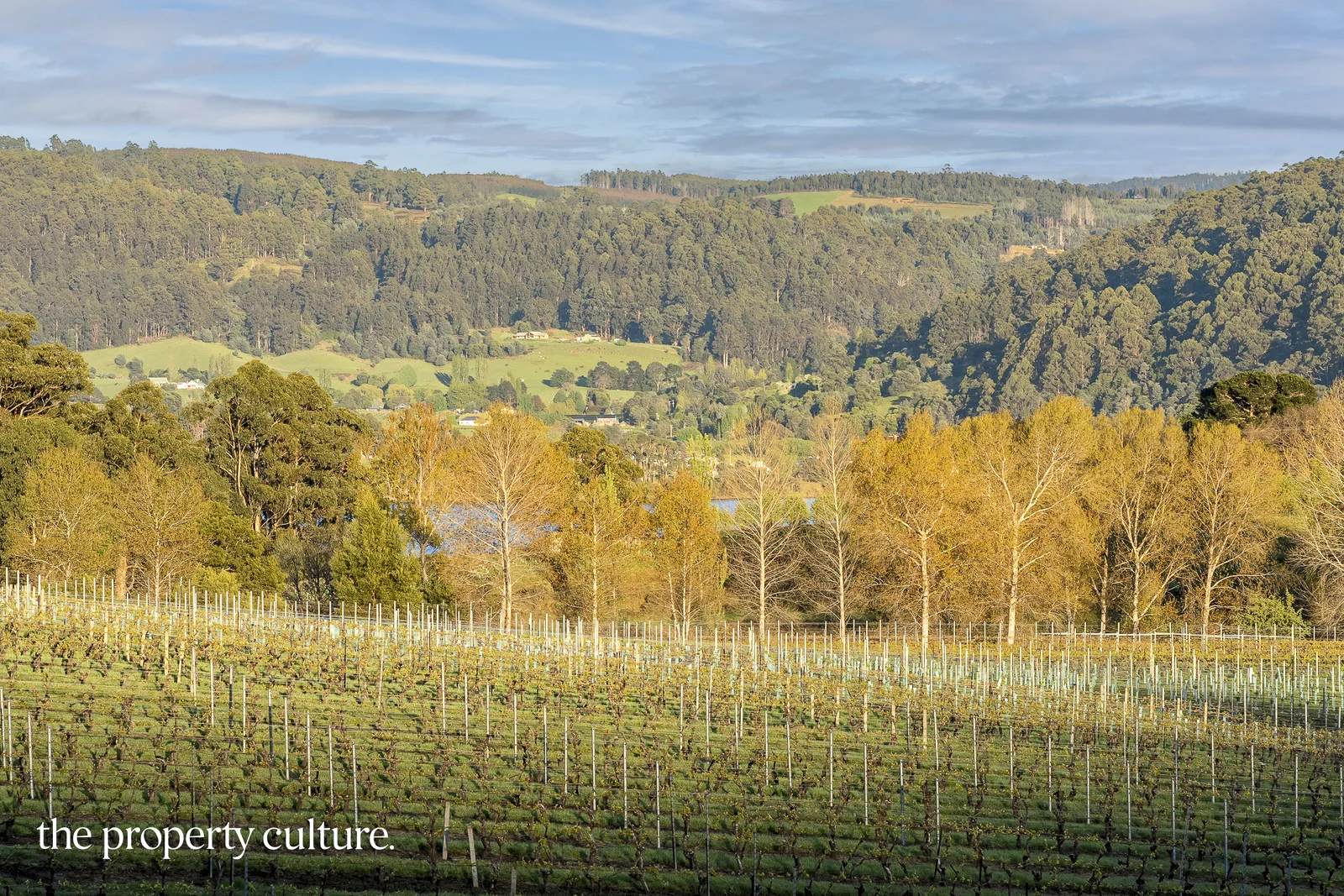 Additional image 20 of 42 Voss Rd, Glaziers Bay TAS 7109