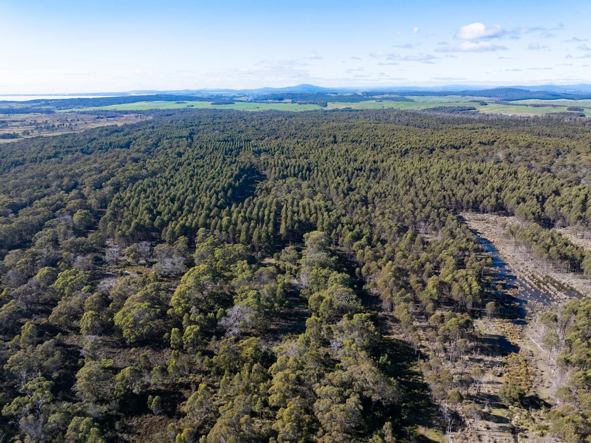 Additional image 4 of 'Hall' Saltwood Road, Bridport TAS 7262