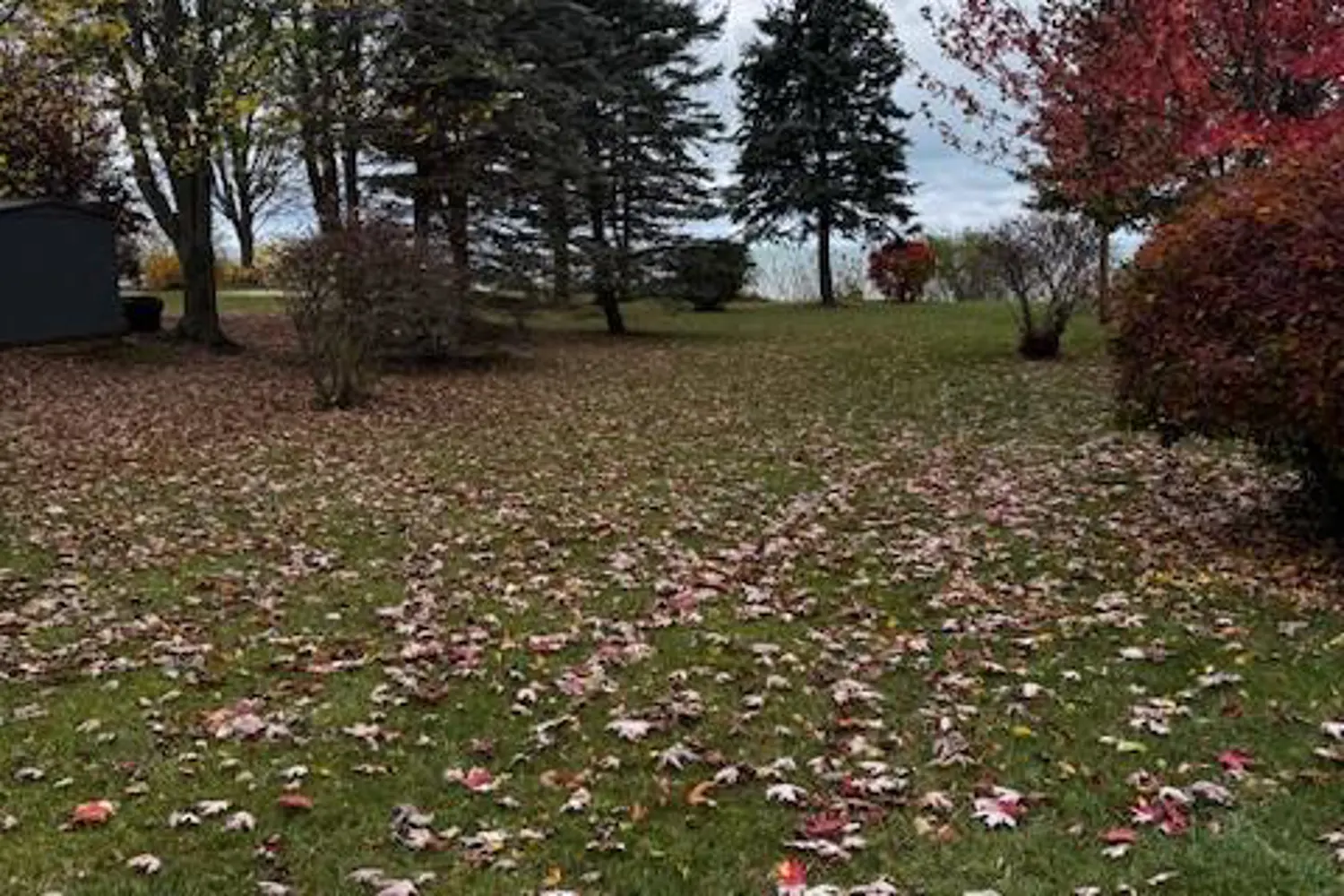 Additional image 8 of 72163 Lakeshore Drive