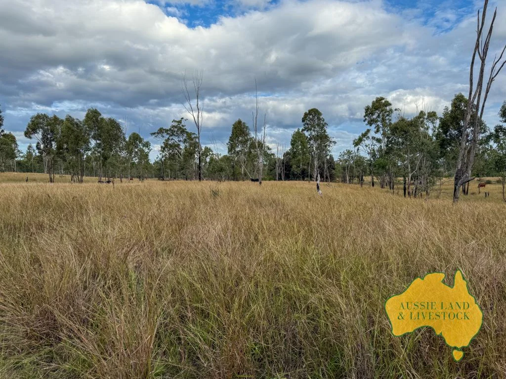 Additional image 45 of 8 SCREENING PLANT ROAD, Cynthia QLD 4627
