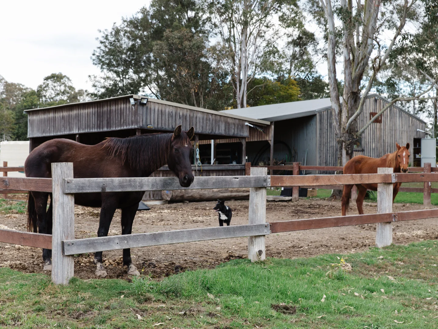Additional image 29 of 4452 The Bucketts Way, Gloucester NSW 2422