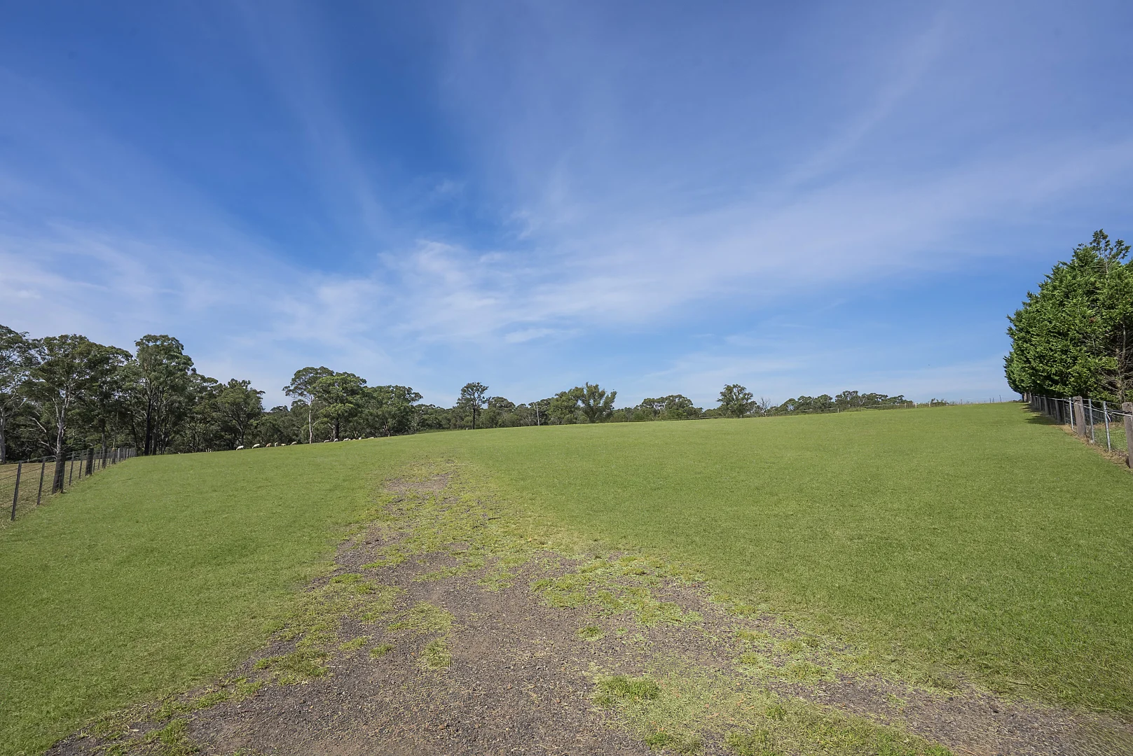 Additional image 6 of 702 & 703 Lyrebird Road, Pheasants Nest NSW 2574