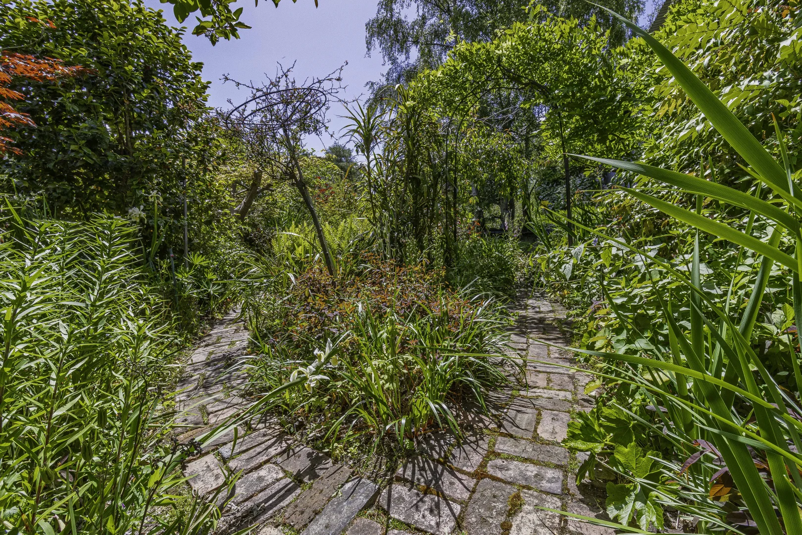 Additional image 22 of 242 Woolleys Road, Lonnavale TAS 7109