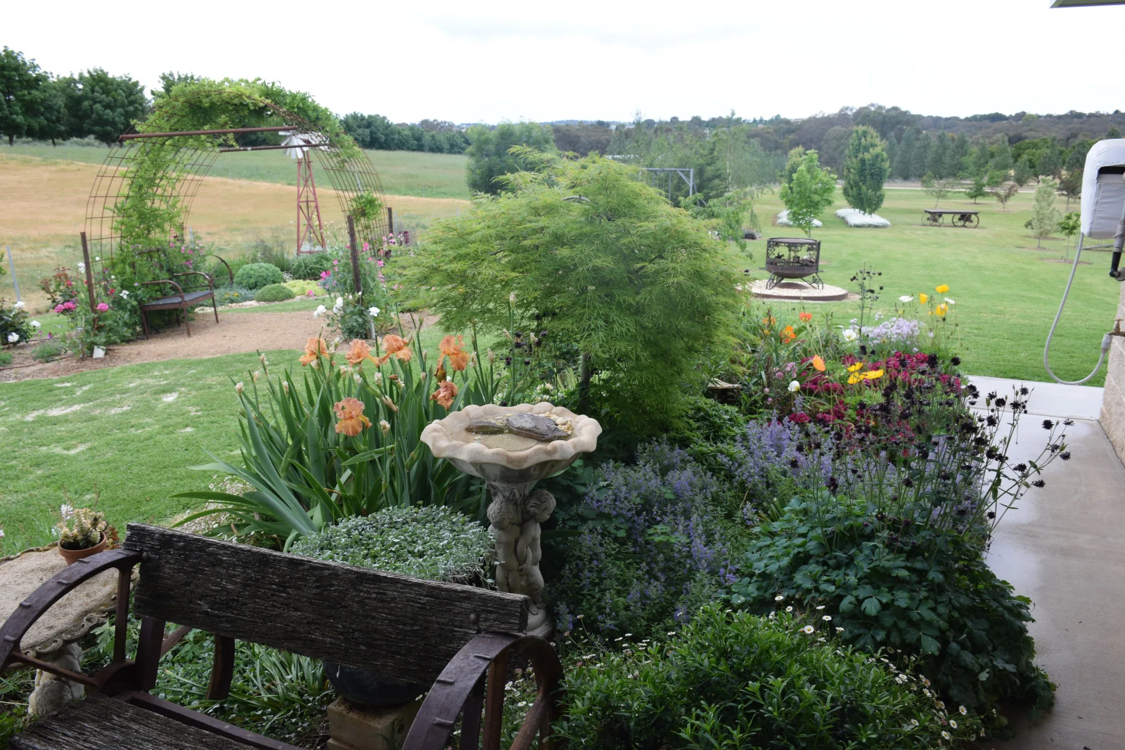 Additional image 29 of 14 Goldview Close, Young NSW 2594