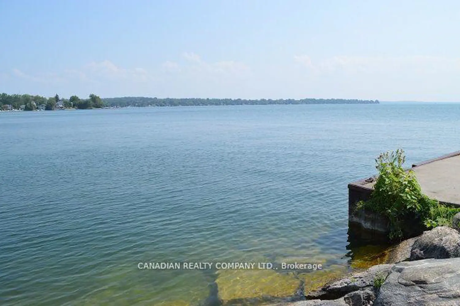 Additional image 19 of 391 Raines Street