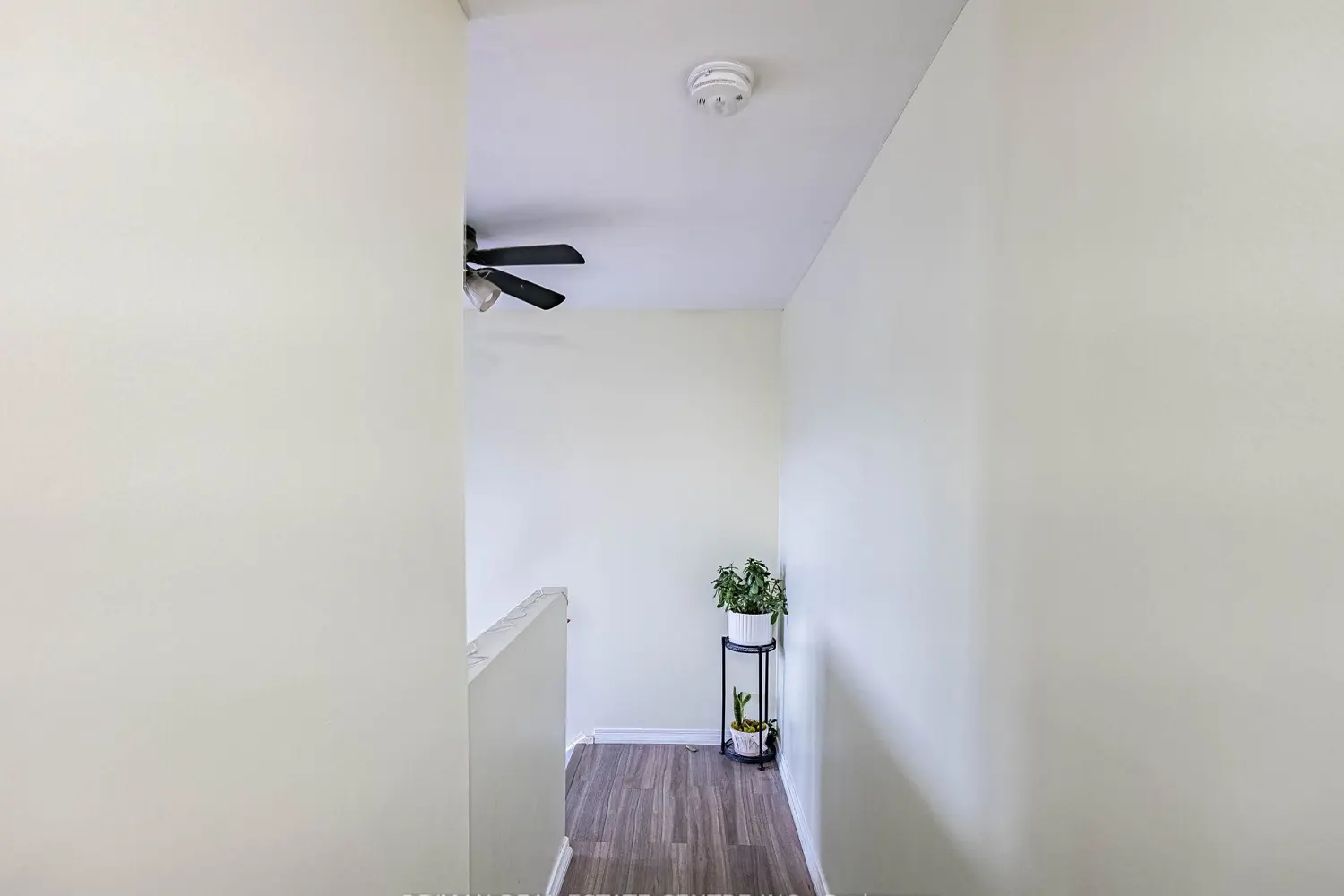 Additional image 12 of 49 Rhonda Road 121