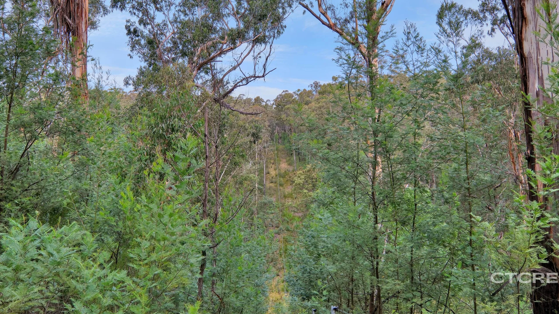 Additional image 21 of 1664 Wangarabell Road, Wangarabell VIC 3891