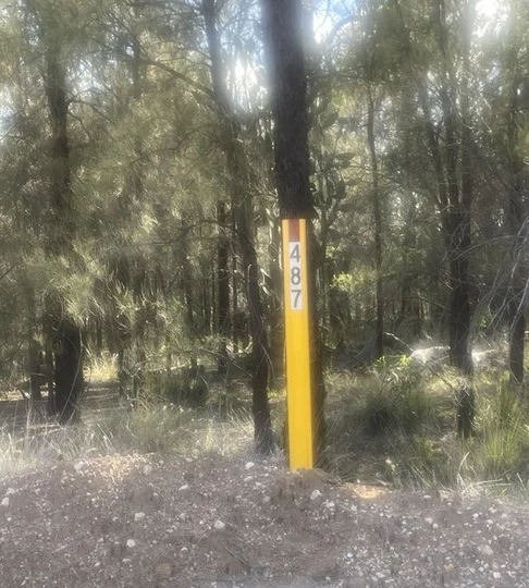 487 Rocky Crescent, Tara QLD 4421