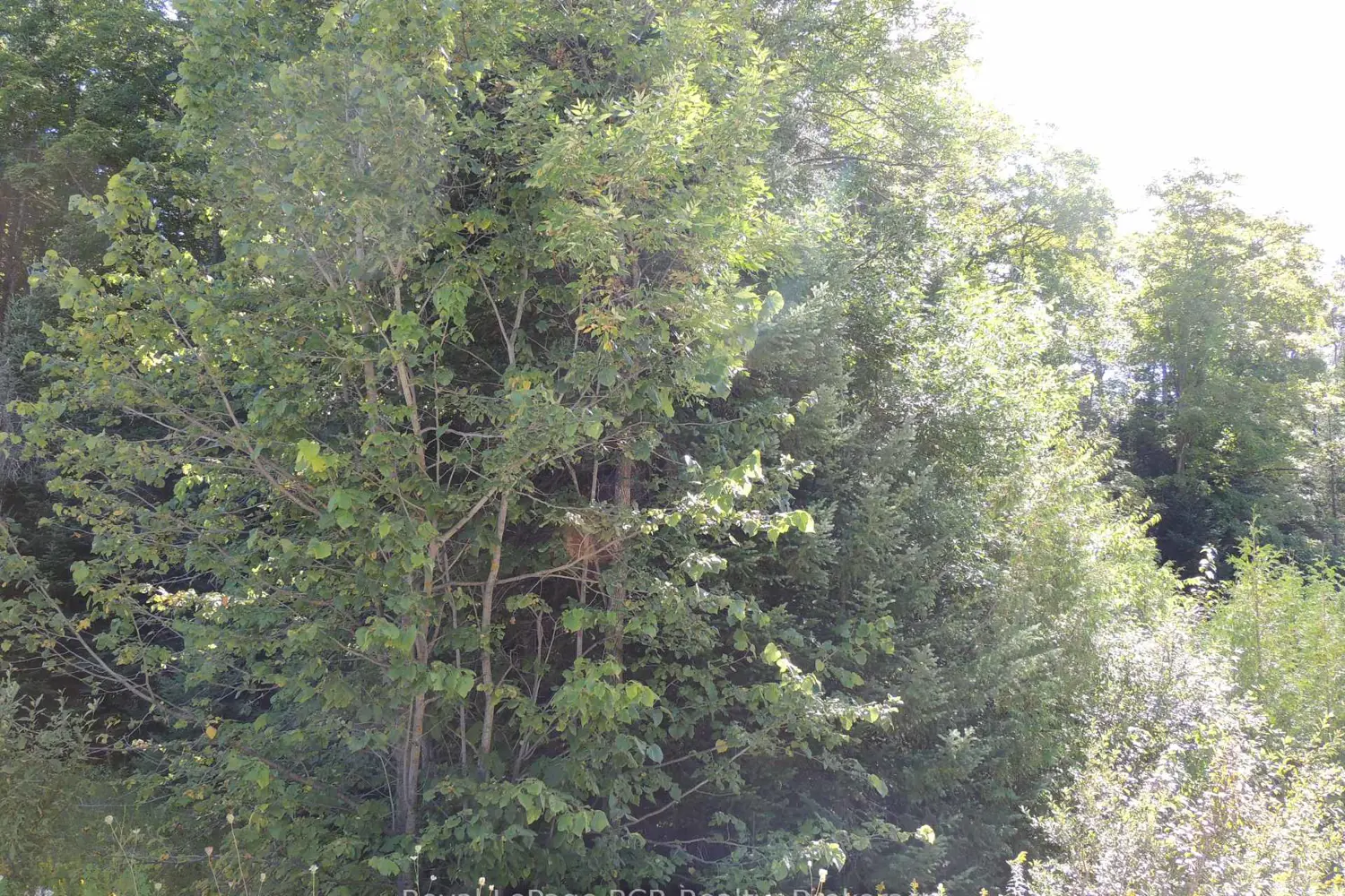 Additional image 2 of Lt 35 Highland Drive