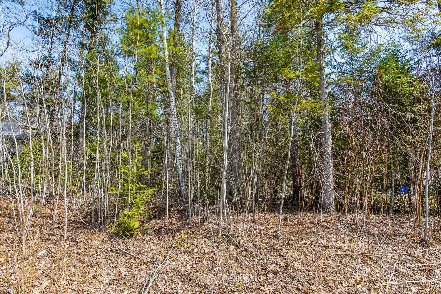 Additional image 3 of Lot 102 Emilio Street