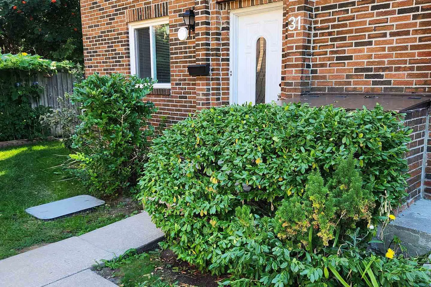 Additional image 2 of 72 Dusay Place 31