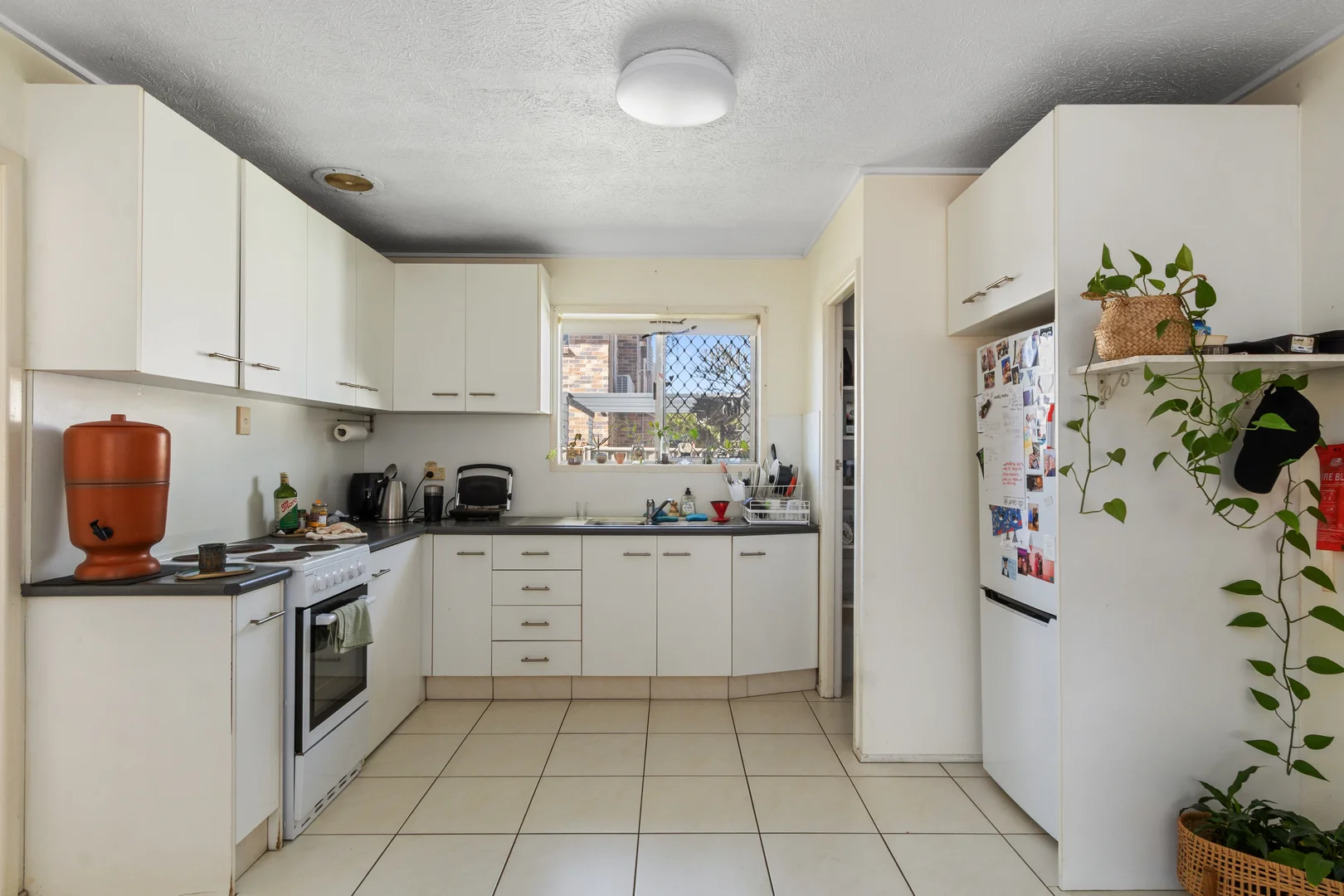 Additional image 12 of 455 Cypress Terrace North, Palm Beach QLD 4221