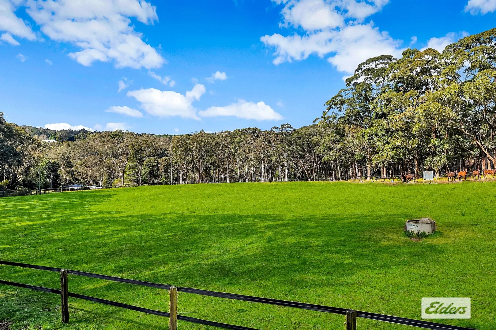 Additional image 9 of 271 Williams Road, Kulnura NSW 2250