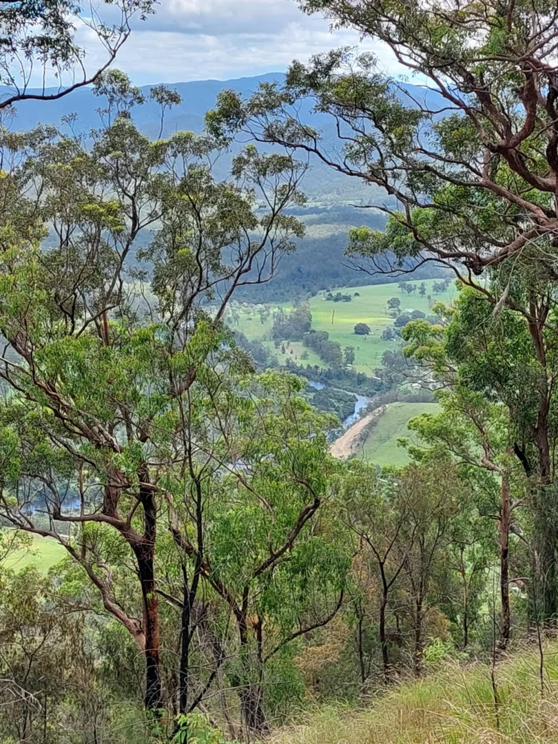 Additional image 3 of Lower Creek NSW 2440