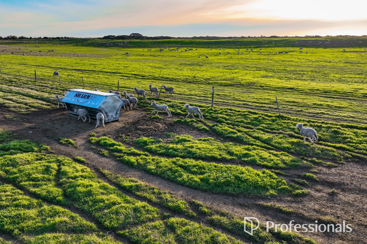 Additional image 4 of 118 Cape Jaffa Road, Kingston Se SA 5275