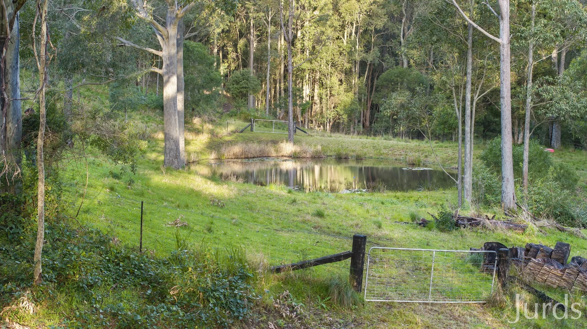 Additional image 34 of 131 Rodney Road, Mount Vincent NSW 2323