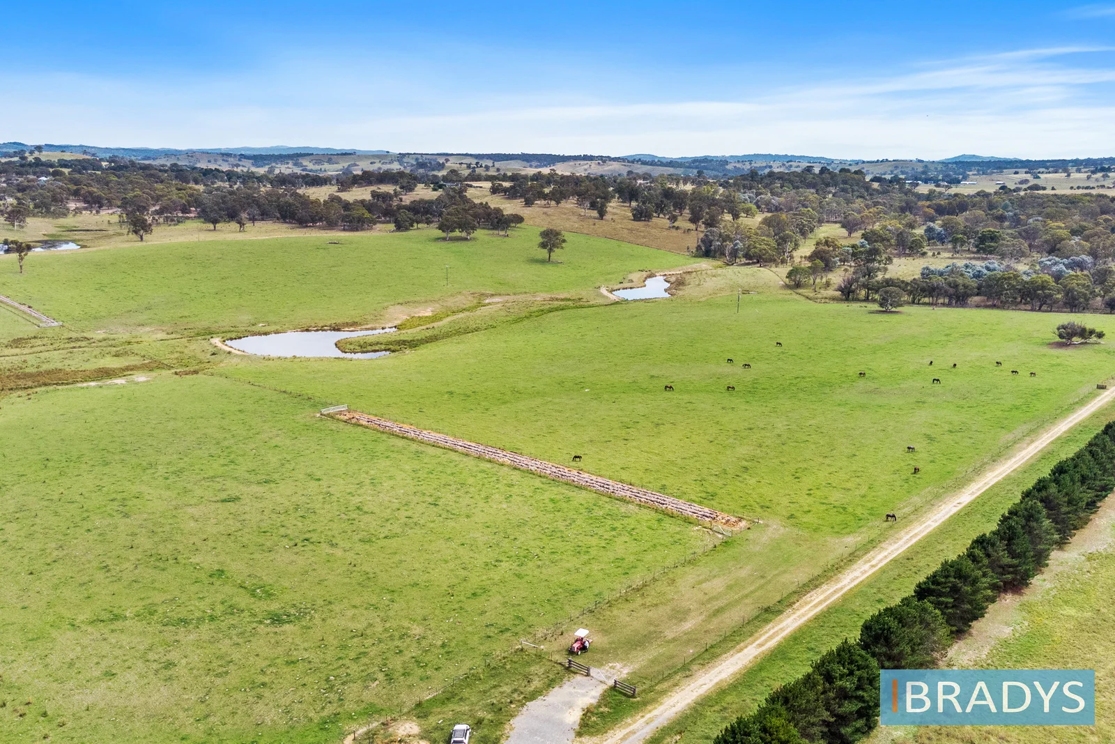 Additional image 6 of 4348 Gundaroo Road, Gundaroo NSW 2620